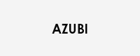 Logo von „Azubi 2020“, schwarze Schrift auf grauem Grund.