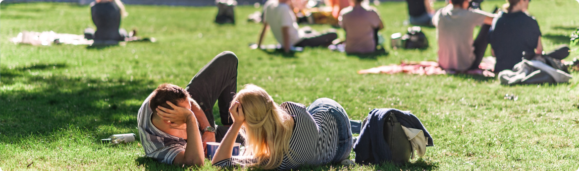 Piknik im Park